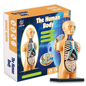 CIENCIA DO CORPO HUMANO - 32/1