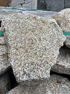 Pedra Moledo Champagne Natural