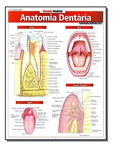 Resumao Medicina - Anatomia Dentária Avançada