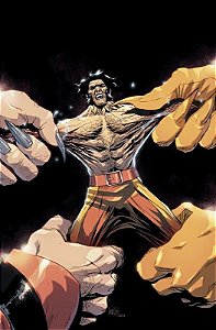 Wolverine - Vol. 28