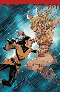 Wolverine - Vol. 27