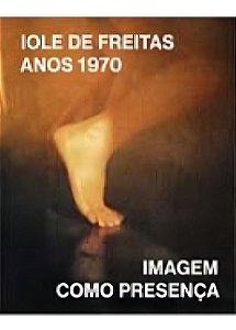 Iole de Freitas Anos 1970 - Imagem Como Presença