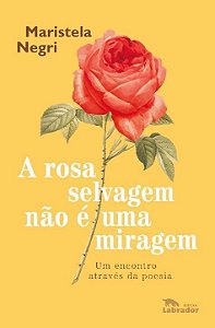 A rosa selvagem não é uma miragem