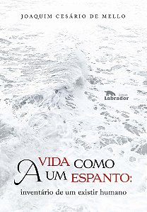 a Vida Como Um Espanto - Inventário De Um Existir Humano