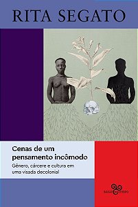 Cenas de Um Pensamento Incômodo - Gênero, Cárcere e Cultura Em Uma Visada Decolonial
