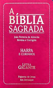 Biblia Sagrada - Evangelica Com Harpa e Corinhos - Rosa