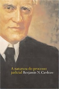 A Natureza do Processo Judicial - 01Ed/04