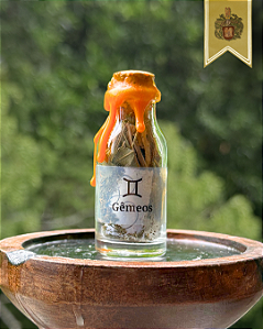 Amuleto Signo de Gêmeos