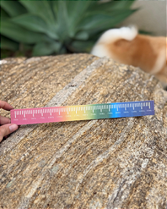 Régua para Medir Frequência P