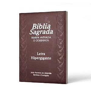 BIBLIA COM HARPA  LETRA  HIPERGG PU ZIPER C/ IND BORDO-60438 - A DEFINIR