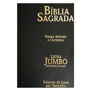 BIBLIA LT JUMBO CAPA PU LUXO COM HARPA  02 ESTRELA PRETA