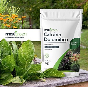 Calcário Dolomítico - Maxgreen