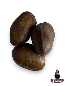 Fava De Orixas Ario