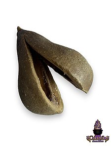 Fava De Orixas Opele