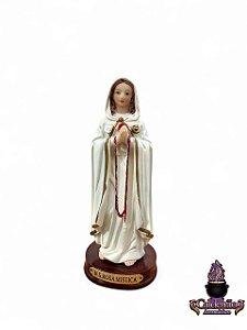 Lancamento Nossa Senhora Rosa Mistica Modelo Resina 14cm