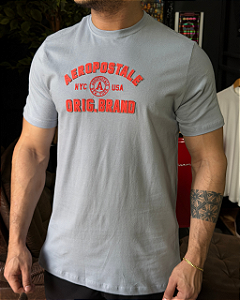 Camiseta Bordada Cinza Claro Aeropostale