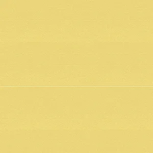 Fraldinha Lisa Care Vanilla 2x2