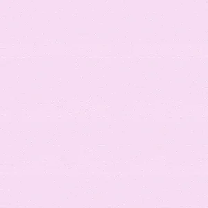 Fraldinha Lisa Care Rosa 2x2