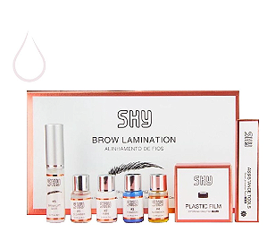 Kit Brow Lamination da SKY para o Alinhamento dos Fios