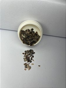 Madre Pérolado Mod 03