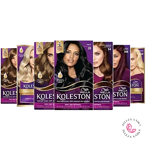 Tinta Koleston Kit