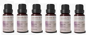 Kit 6x Lavanda 40/42 (Lavandula angustifolia) - 10 ml