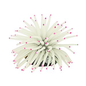 ENFEITE DE SILICONE SOMA ANEMONA SHORT BRANCA 6 CM
