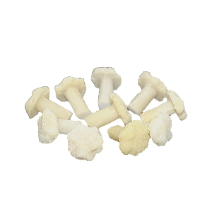 PLUG DE RESINA SOMA FRAG PLUG WHITE TOOL (10UN)