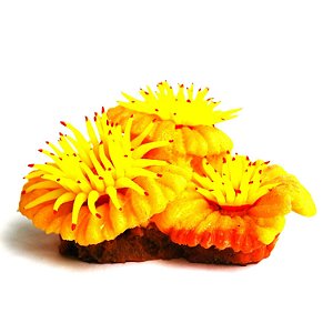 ENFEITE DE SILICONE SOMA CORAL PLATE AMARELO COM POLIPOS