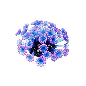ENFEITE DE SILICONE SOMA CORAL ALVEOPORA AZUL 04
