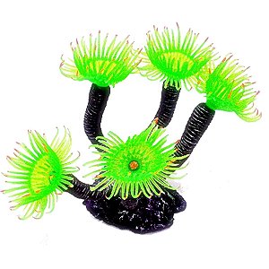 ENFEITE DE SILICONE SOMA INVERT CERIANTHUS VERDE 02