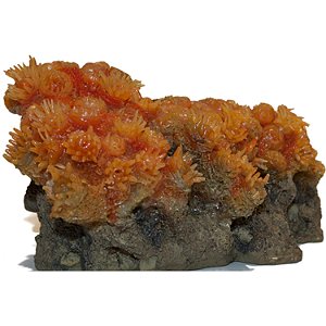 ENFEITE DE RESINA SOMA CORAL SUN FLOWER PQ