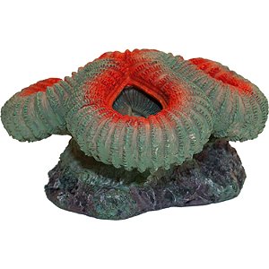 ENFEITE DE RESINA SOMA CORAL CEREBRO OPEN VERMELHO