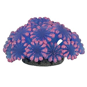 ENFEITE DE SILICONE SOMA CORAL ALVEOPORA AZUL 02