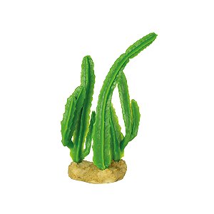 ENFEITE DE SILICONE SOMA PLANTA CACTUS 04