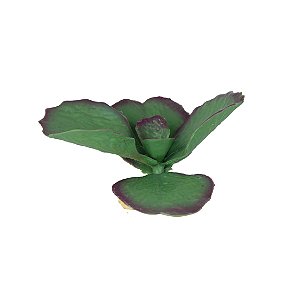 ENFEITE DE SILICONE SOMA PLANTA SUCULENTA 04