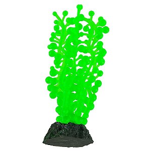 ENFEITE DE SILICONE SOMA ALGA ULVA VERDE