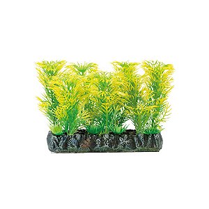 PLANTA PLASTICA SOMA TAPETE TONINA VERDE AMARELA 10CM