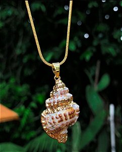 Colar com Concha Natural
