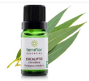 OE EUCALIPTO CITRIODORA 10ML (TERRA FLOR)