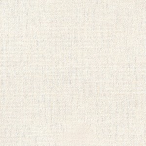 Papel de Parede Linho Bege Claro - Coleção Space IX Kantai