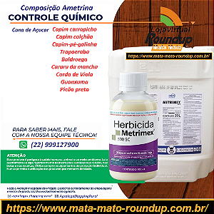 Herbicida Metrimex 500 Fracionado 100 ml - Composição Ametrina