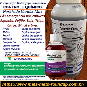 Herbicida Verdict Ultra Fracionado 100 ml - Composição Haloxifope-P-metílico