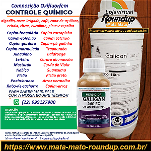Herbicida Galigan fracionado 100 ml - Composição Oxifluorfem