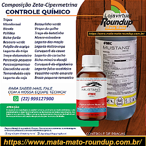 Inseticida Mustang 350 Fracionado 100 ml - Composição Zeta-Cipermetrina
