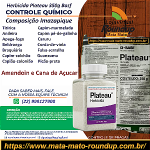 Herbicida Plateau 100 gr - Composição Imazapique Controle de Tiririca