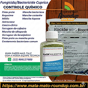 Fungicida Kocide Fracionado 100 gr - Composição Hidróxido de Cobre