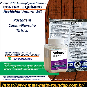Herbicida Vaboro WG Fracionado 100 g - Composição Imazapir e Imazapique