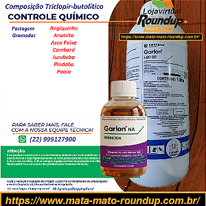 Herbicida Garlon 480 BR Fracionado 100 ml - Composição Triclopir Butólico