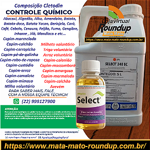 Herbicida Graminicida Select 240 Fracionado 100 ml - Composição Cletodin